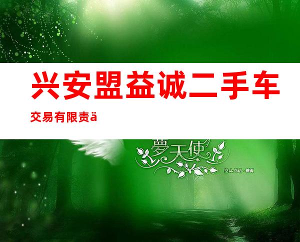 兴安盟益诚二手车交易有限责任公司