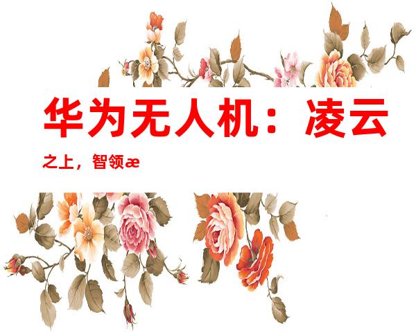 华为 无人机：凌云之上，智领未来