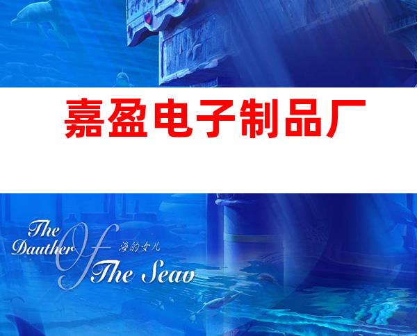 嘉盈电子制品厂