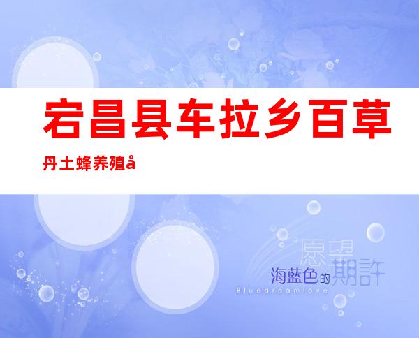 宕昌县车拉乡百草丹土蜂养殖农民专业合作社