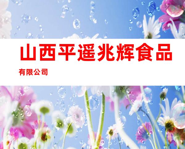 山西平遥兆辉食品有限公司