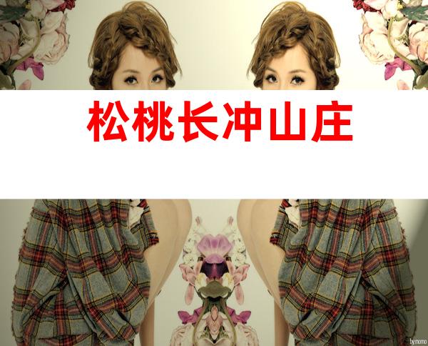 松桃长冲山庄
