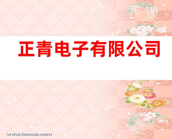 正青电子有限公司