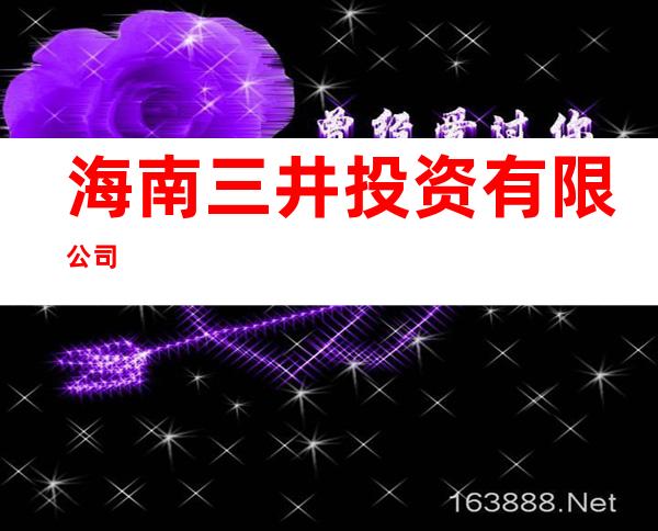 海南三井投资有限公司