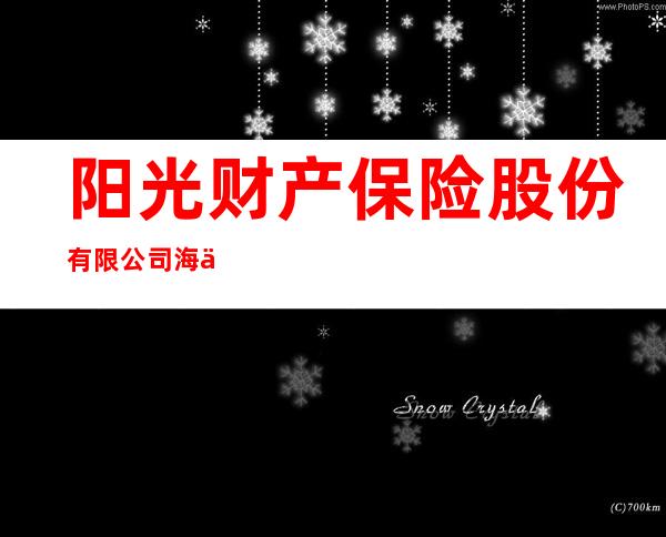 阳光财产保险股份有限公司海东中心支公司